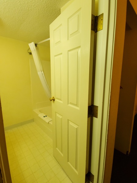 Standard 2 Queen Beds Photo 3