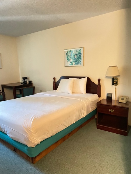 Unique Queen Photo 1