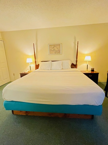 King Jacuzzi (No Pets) Photo 3